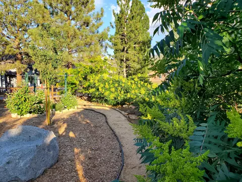 1177 Oak Dr, Big Bear City, CA 92314 photo 55