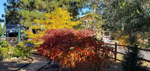 1177 Oak Dr, Big Bear City, CA 92314 photo 60