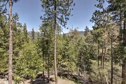 53420 Middle Rdg, Idyllwild, CA 92549 photo 5