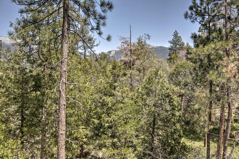 53420 Middle Rdg, Idyllwild, CA 92549 photo 6