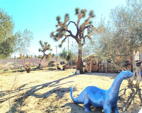 8803 Balsa Ave, Yucca Valley, CA 92284 photo 20