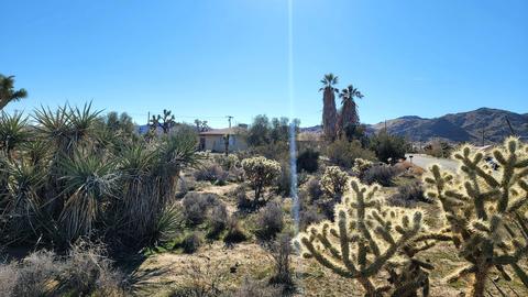 8803 Balsa Ave, Yucca Valley, CA 92284 photo 19