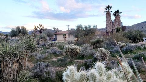 8803 Balsa Ave, Yucca Valley, CA 92284 photo 24