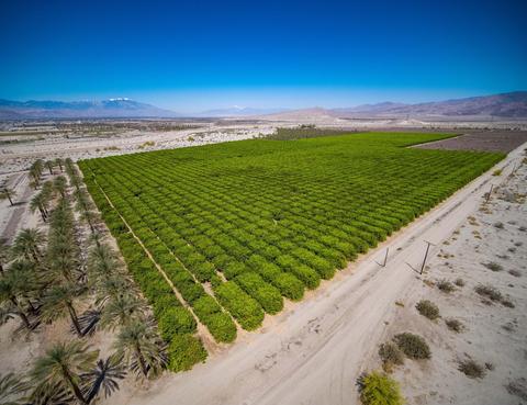 0 Avenue 44 Polk St, Coachella, CA 92236