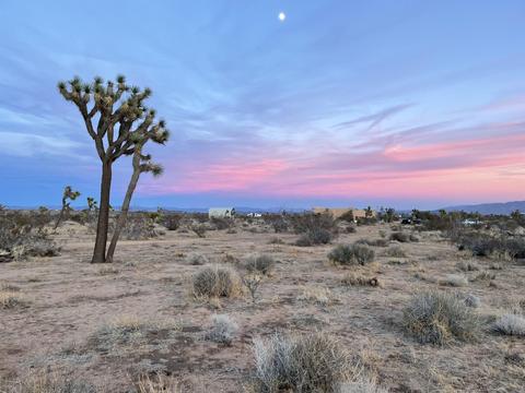 3052 Olympic Rd, Joshua Tree, CA 92252 photo 4