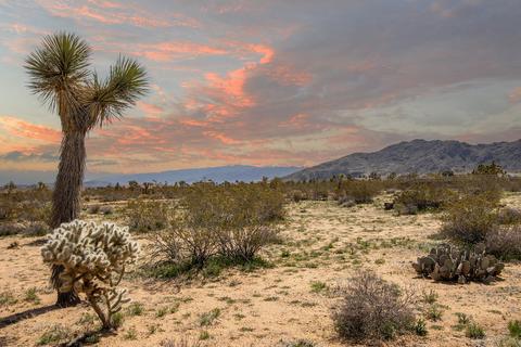 3052 Olympic Rd, Joshua Tree, CA 92252