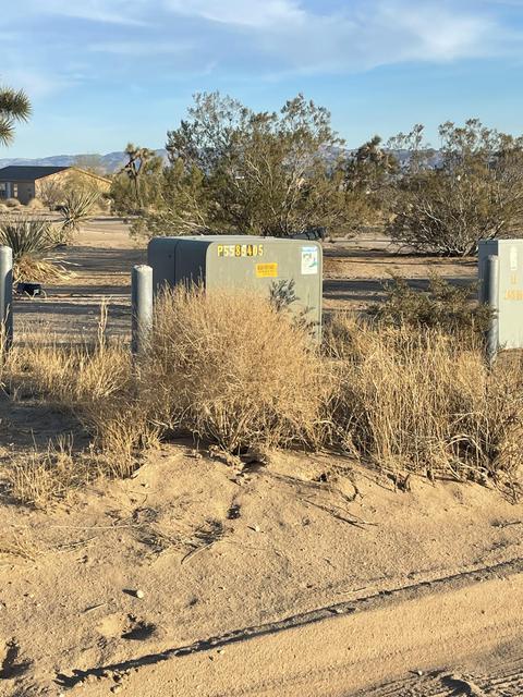 3052 Olympic Rd, Joshua Tree, CA 92252 photo 15