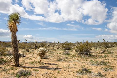 3052 Olympic Rd, Joshua Tree, CA 92252 photo 7
