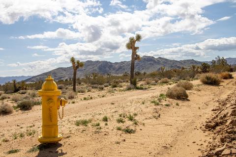 3052 Olympic Rd, Joshua Tree, CA 92252 photo 14