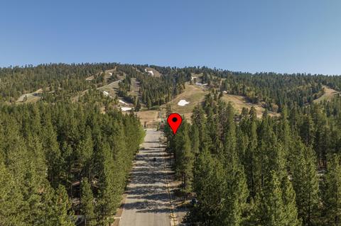 41865 Switzerland Dr, Big Bear Lake, CA 92315