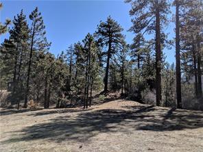 557 Division Dr, Big Bear City, CA 92314