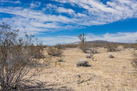 57628 Pine Rd, Landers, CA 92285 photo 6