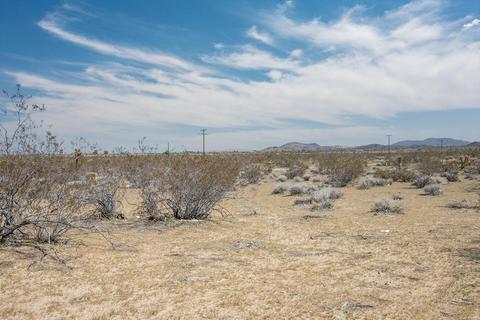 57628 Pine Rd, Landers, CA 92285 photo 12