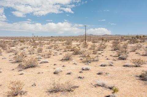 57628 Pine Rd, Landers, CA 92285 photo 8