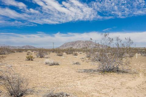 57628 Pine Rd, Landers, CA 92285 photo 4