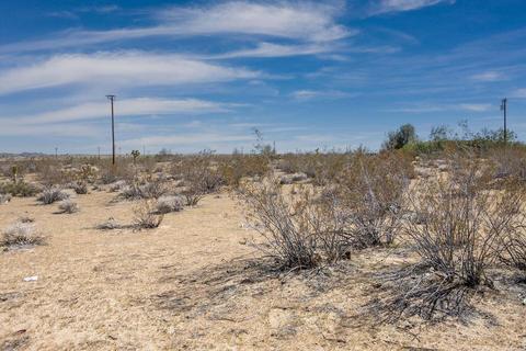 57628 Pine Rd, Landers, CA 92285 photo 10