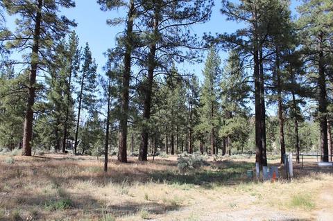 0 Tunnel Spring Rd, Mountain Center, CA 92561