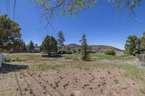 1509 Shay Rd, Big Bear City, CA 92314 photo 69