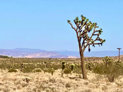 115 Avalon Ave, Yucca Valley, CA 92284