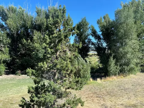 1521 Shay Rd, Big Bear City, CA 92314 photo 45