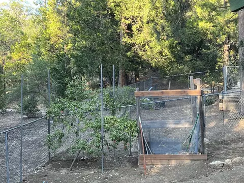 25130 Wrightwood Dr, Idyllwild, CA 92549 photo 30