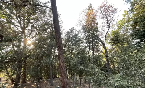 25130 Wrightwood Dr, Idyllwild, CA 92549 photo 31