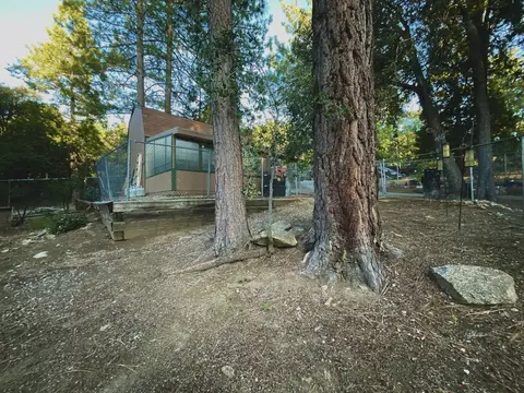 25130 Wrightwood Dr, Idyllwild, CA 92549 photo 5