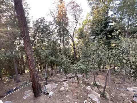 25130 Wrightwood Dr, Idyllwild, CA 92549 photo 24