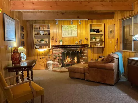 25130 Wrightwood Dr, Idyllwild, CA 92549 photo 7