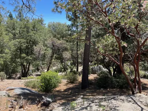 0 Northridge Dr, Idyllwild, CA 92549