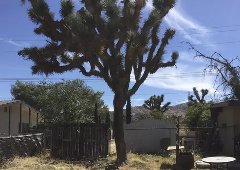 56424 Onaga Trl, Yucca Valley, CA 92284 photo 42
