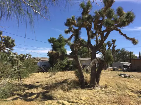 56424 Onaga Trl, Yucca Valley, CA 92284 photo 53