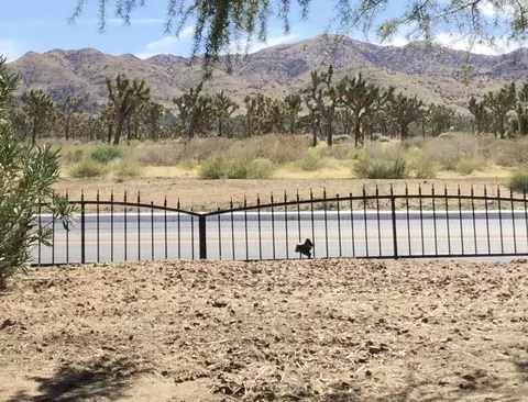 56424 Onaga Trl, Yucca Valley, CA 92284 photo 10