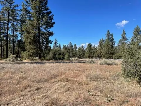 lot19 Devils Ladder Rd, Mountain Center, CA 92561