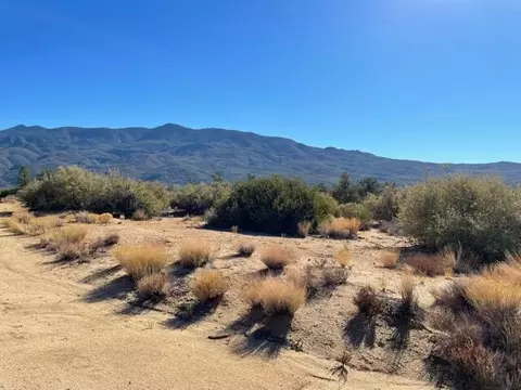lot290 Palm Canyon Dr, Mountain Center, CA 92561