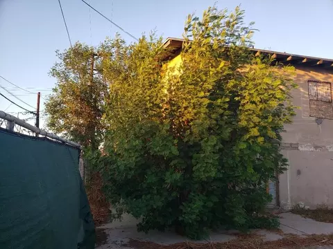 45709 Sage St, Indio, CA 92201 photo 15