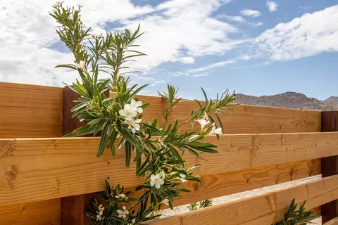 6656 Mount Lassen Ave, Joshua Tree, CA 92252 photo 34