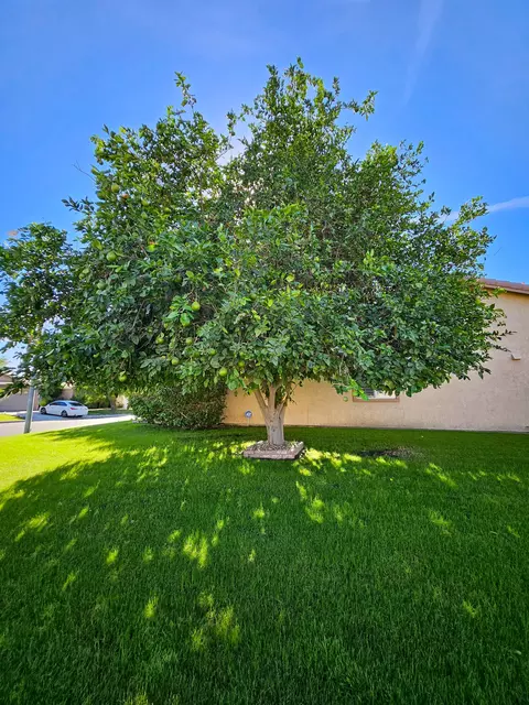 49575 Lincoln Dr, Indio, CA 92201 photo 41