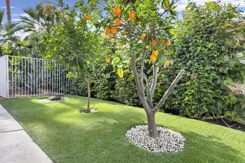 79555 Mandeville Rd, Bermuda Dunes, CA 92203 photo 39