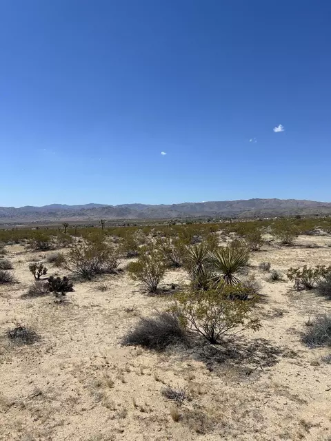 0 Bellflower St, Joshua Tree, CA 92252 photo 7