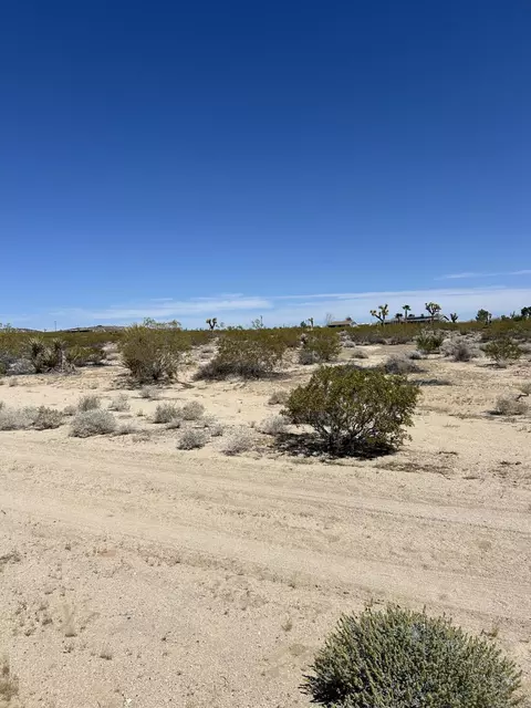 0 Bellflower St, Joshua Tree, CA 92252 photo 6