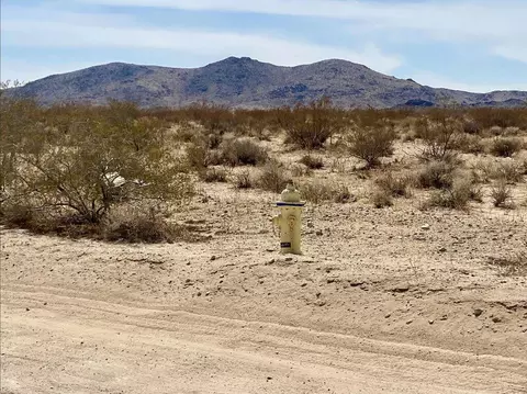 155 Bowman Trl, Landers, CA 92285 photo 3