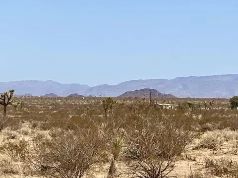 155 Bowman Trl, Landers, CA 92285 photo 21