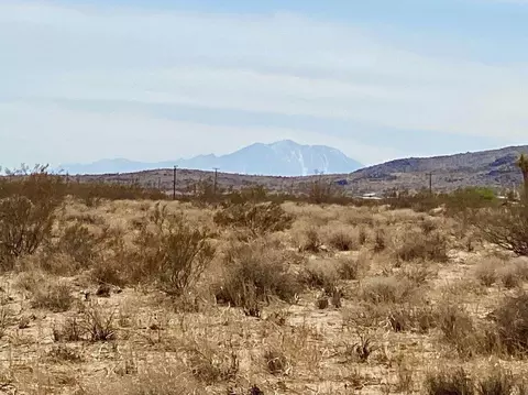 155 Bowman Trl, Landers, CA 92285 photo 20