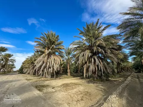 0 W Jackson St Ave 58, Thermal, CA 92274 photo 44
