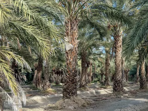0 W Jackson St Ave 58, Thermal, CA 92274 photo 40