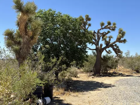 Exterior - 55686 Mira St, Yucca Valley, CA 92284 photo 21 of 29