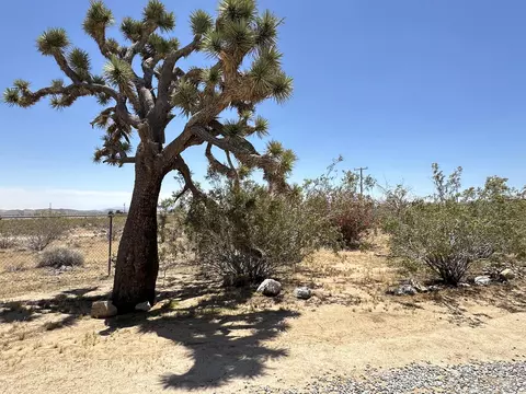 Exterior - 55686 Mira St, Yucca Valley, CA 92284 photo 14 of 29