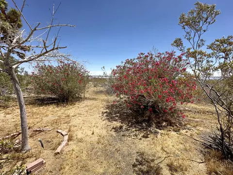 Exterior - 55686 Mira St, Yucca Valley, CA 92284 photo 13 of 29