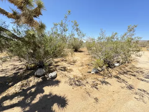 Exterior - 55686 Mira St, Yucca Valley, CA 92284 photo 27 of 29